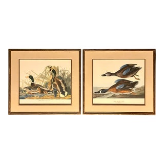 Pair of Audubon Folio Duck Prints John James Audubon Great Bird Paintings. Published 1964 Double Giltwood Rope Framed Linen Matte. For Sale