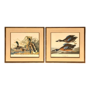 Pair of Audubon Folio Duck Prints John James Audubon Great Bird Paintings. Published 1964 Double Giltwood Rope Framed Linen Matte.