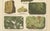 Dr. Gustav Adolph Kenngott, Mineralogy Quartz, Agate & Tourmaline, 1888, Chromolithographs, Set of 3 For Sale - Image 12 of 13