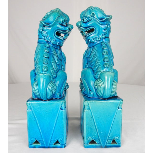 Early 20th Century Turquoise Blue Glaze Foo Dogs- a Pair For Sale In Orlando - Image 6 of 12
