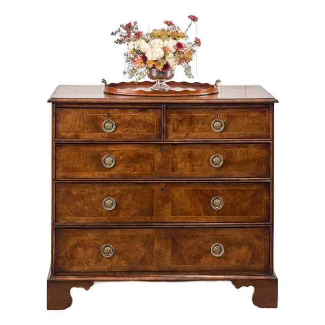 Exquisite 19th Century Burl Walnut Two Over Three Chest With Rings Pulls For Sale