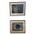 Pair of Contemporary Oil on Paper Gourd Still Life Paintings, Signed "Gw", 2006 For Sale