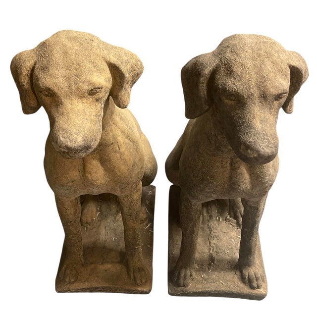 Traditional Pair of Vintage Weathered Cast Stone Seated Pointer Garden Statues For Sale - Image 3 of 12