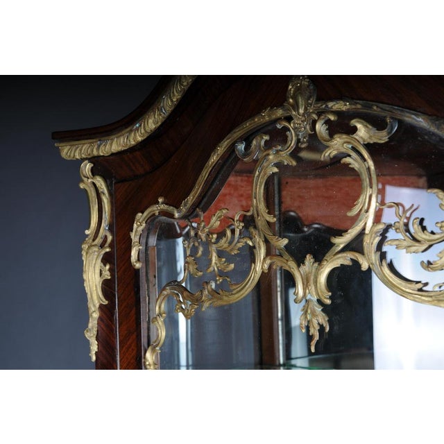 French Louis XV Napoleon III Display Cabinet with Gilt Bronze, Paris, 1890s For Sale - Image 17 of 18