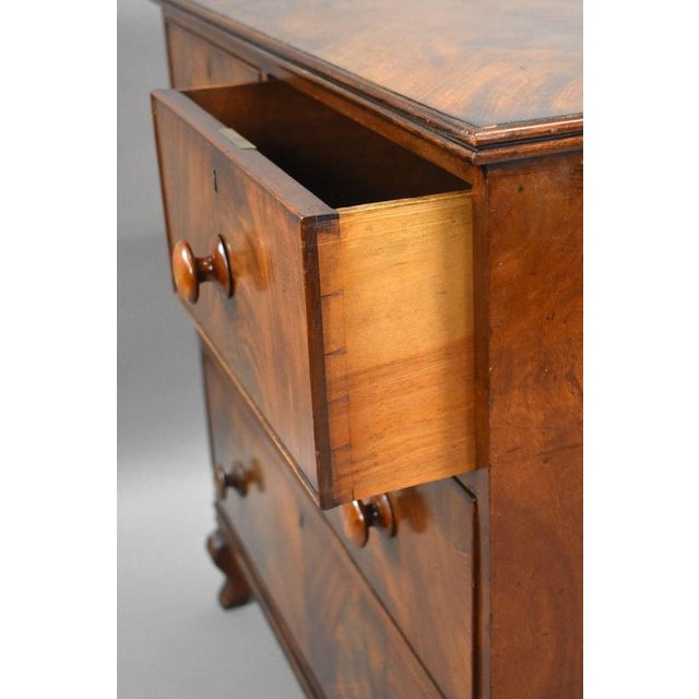 Gold Regency Flame Mahogany Chest of Drawers, 1820 For Sale - Image 8 of 10