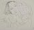Henri Matisse (1869-1954) (after) Bride with Veil Lithograph after a drawing by the artist Signed in the plate On wove...