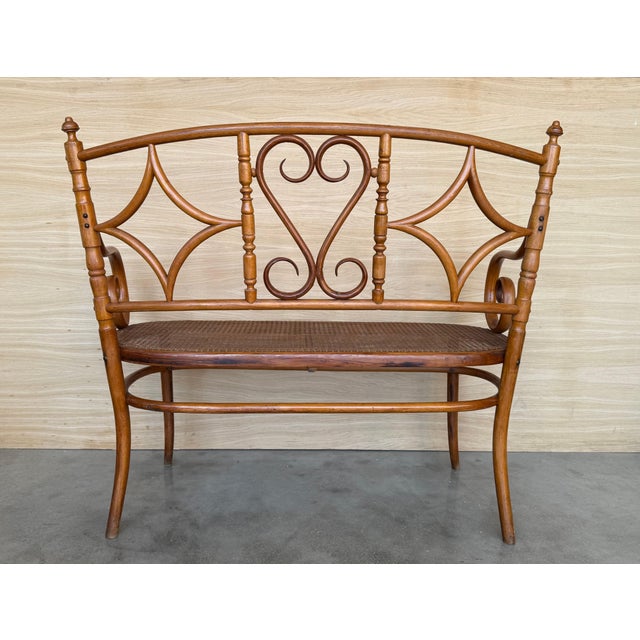 Early 20th Century 20th Century Bentwood Sofa in the Thonet Style, circa 1925, Caned Seat For Sale - Image 5 of 18