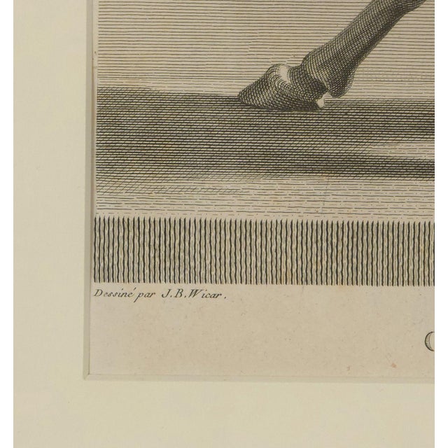 Neoclassical Engraving of Hercules Fighting, France Circa 1790 For Sale - Image 4 of 6