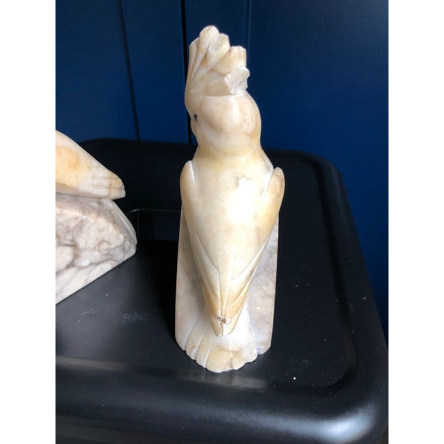 Stone 1930s Italian Alabaster Carved Cockatoo Bookends-A Pair For Sale - Image 7 of 9