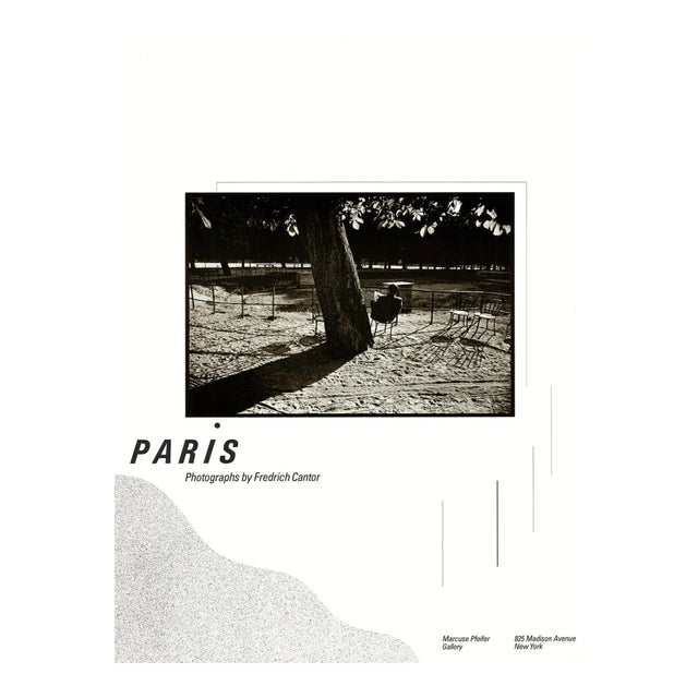 Fredrich Cantor Paris 24" X 18" Poster 1980 Photography Black & White Tree, Man, Chairs, Read, Newspaper For Sale