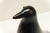Eames for Vitra House Bird in Black With Box For Sale In Louisville - Image 6 of 12