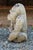 Mid-20th Century English Cast Stone Seated Gorilla Garden Ornament For Sale - Image 4 of 6