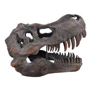 Late 20th Century Tyrannosaurus Rex Skull Sculpture For Sale