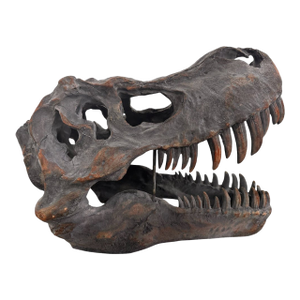 Late 20th Century Tyrannosaurus Rex Skull Sculpture