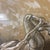 Gold Vintage Paul Cadmus Mixed Media Charcoal and Paint in Gilt Frame For Sale - Image 8 of 9