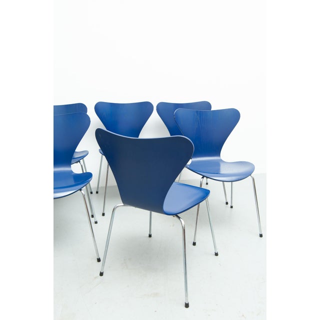 1950s Series 7 Chairs by Arne Jacobsen for Fritz Hansen, 1950s, Set of 8 For Sale - Image 5 of 12