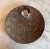 Black Orthoceras Fossil Round Plate With Ammonite Ring For Sale - Image 8 of 11