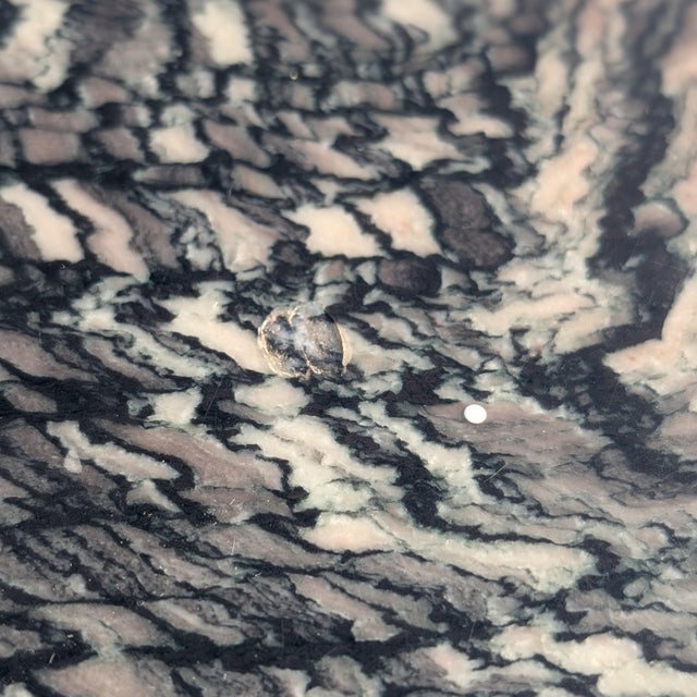 Green Postmodern Italian Cipollino Ondulato Marble Side Table, 1970s–1980s For Sale - Image 8 of 18