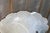 Large Antique Chinese Qing Dynasty Crackle Glaze Porcelain Vase, 1800s For Sale - Image 15 of 18