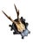 Cabin Roe Deer Trophy 213 Black Forest Antlers Mount For Sale - Image 3 of 5