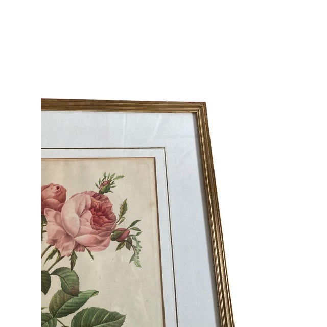 Pierre Joseph Redoute, Botanical Prints, 1929, Glass, Framed, Set of 2 For Sale - Image 6 of 7