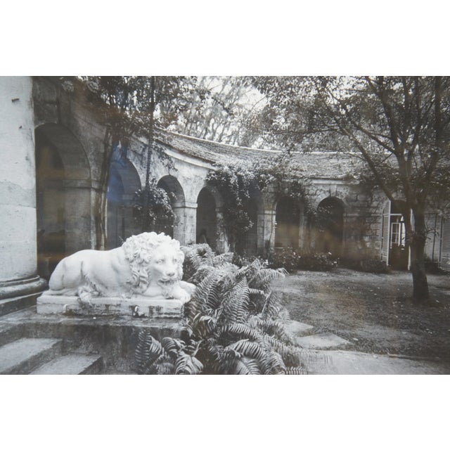 Black and White Decorative Garden Photographs in Gold Frames of Castle Lion Statue - Set of 3 For Sale - Image 6 of 12