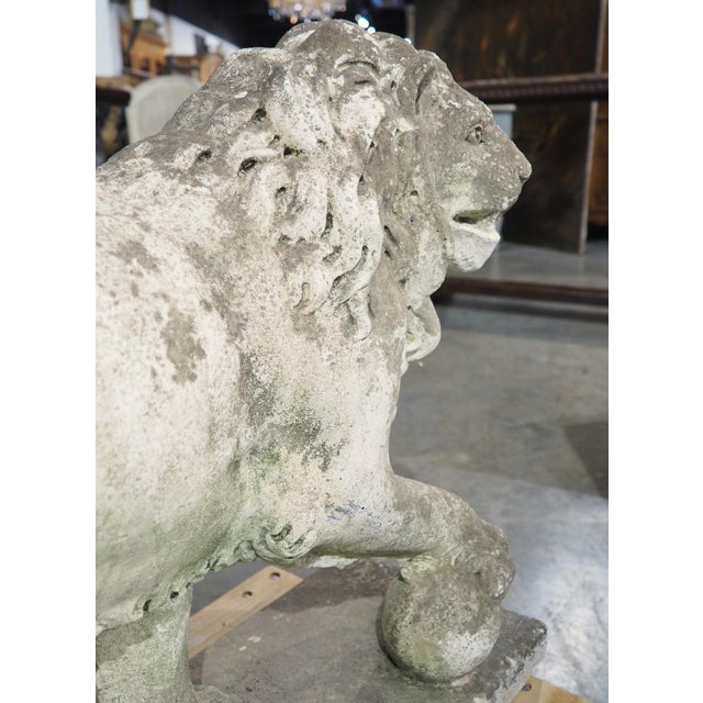 A French Medici Style Lion in Reconstituted Stone, 20th C For Sale - Image 4 of 18
