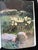 Black Vintage Chinese Garden Books For Sale - Image 8 of 11