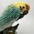 Vintage Stangl #3449 Hand-Painted Carolina Parakeet Figurine, Circa 1950 For Sale In Oklahoma City - Image 6 of 10
