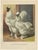 The Enchanting Japanese Silkie Chicken, 1888, Print For Sale