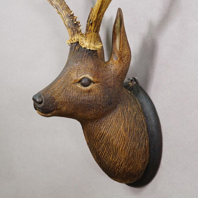 Large Naturalistic Black Forest Carved Deer Head, Ca. 1930s For Sale - Image 4 of 6