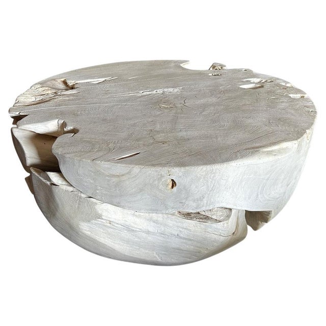 Andrianna Shamaris Organic Drum Shape Teak Wood Coffee Table For Sale - Image 15 of 18