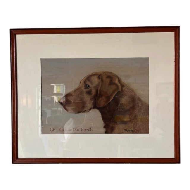 70's Vintage F. Worden "Ch. Edmonton Newt" Dog Portrait Painting, Framed For Sale