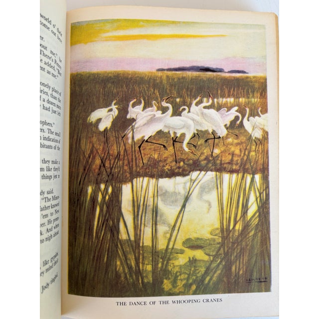 The Yearling Hardcover 1950 by Marjorie Kinnan Rawlings With Pictures by N. C. Wyeth Charles Scribner's Sons • New York For Sale - Image 11 of 12