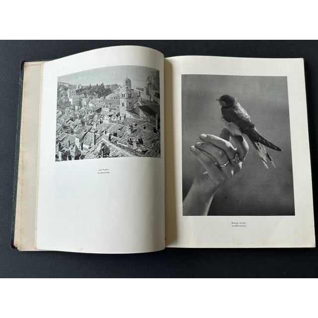 Vintage 1930s Czech Photography Book For Sale - Image 9 of 12