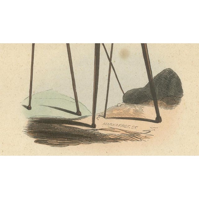 Inhabitants of the Landes on Stilts, 1845, Hand-Coloured Lithograph For Sale - Image 5 of 10