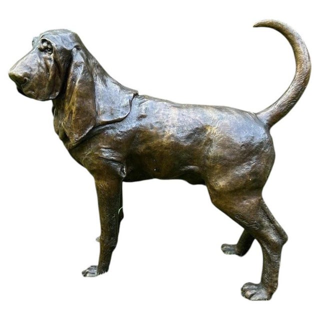 An impressive life-size bronze sculpture of a Bloodhound or hunting dog by Christian Maas, beautifully modelled with...