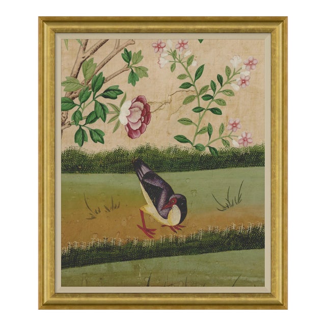 Delfern II Framed Art Print For Sale