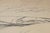 Walla Walla landscape drawing on heavy paper from the estate of Northwest School artist Neil Meitzler (1930 - 2009)....