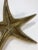 Vintage Brass Starfish Paper Weight For Sale In Kansas City - Image 6 of 7