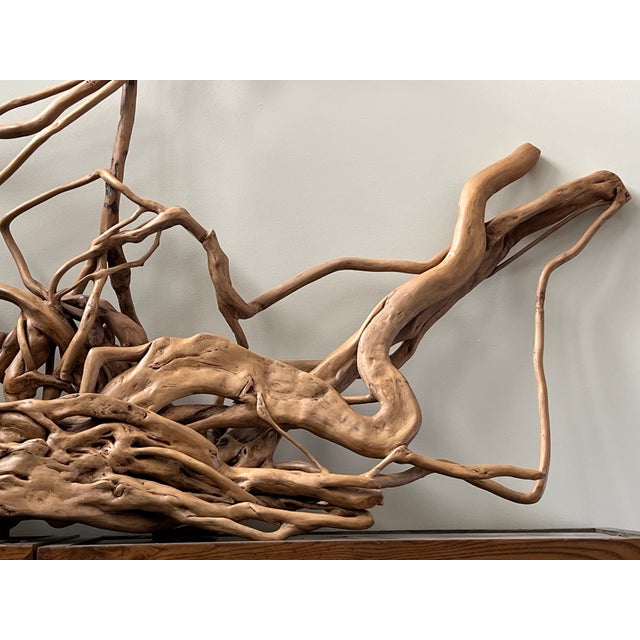 Large Root Sculpture From Southwest China For Sale - Image 4 of 12