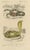 Oudart and Forget, Coral Snake and Egyptian Cobra, 1850s, Paper For Sale - Image 6 of 10