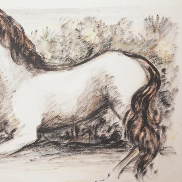 Domenico Purificazione, Horse, 1980s, Gouache For Sale - Image 4 of 9