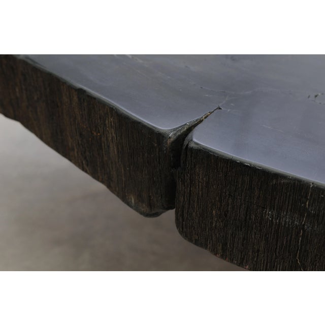 Stone Black Petrified Wood Coffee Table by Xyleia Petrified Wood For Sale - Image 7 of 11