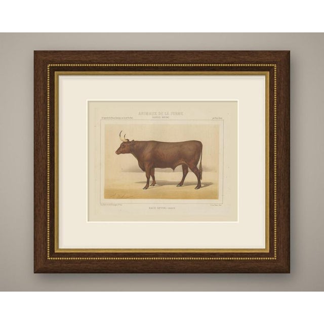 This is an original antique chromolithograph, printed in color from several lithographic stones, from victor borie's...