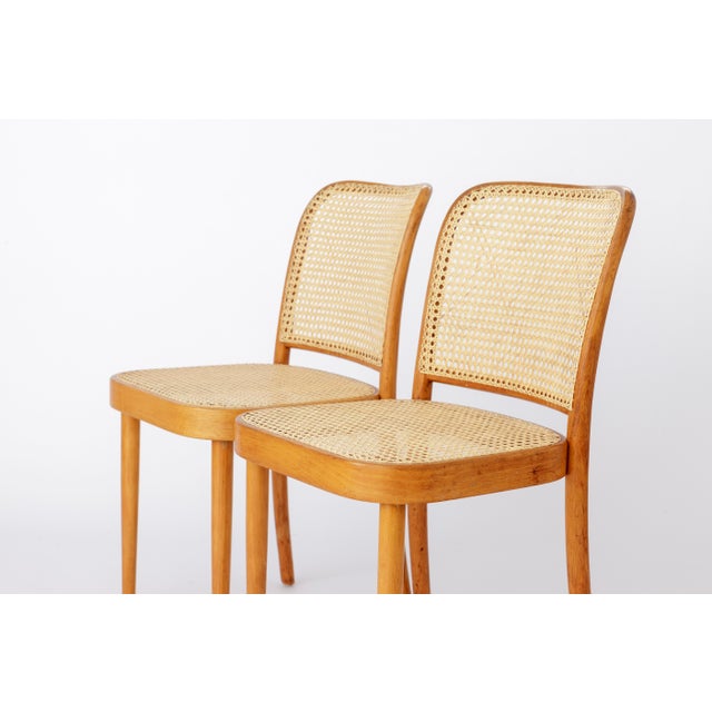 Beige Vintage Bentwood Dining Chairs by Ligna, 1960s, Set of 6 For Sale - Image 8 of 11