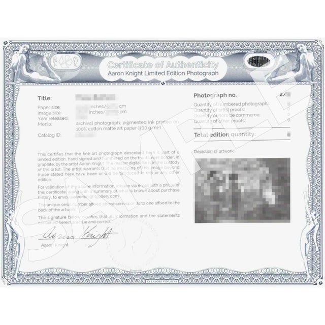 Contemporary Nude Woman Art Photograph "Nager Nu" 2/6 Limited Edition, Signed, Numbered For Sale - Image 4 of 4