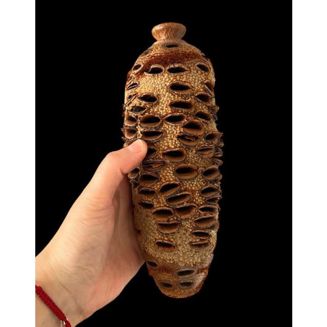 Wood Vintage Organic Banksia Seed Vases- Set of 3 For Sale - Image 7 of 12