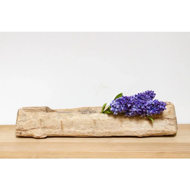 Lushai Long Slim Wood Bowl For Sale - Image 9 of 9