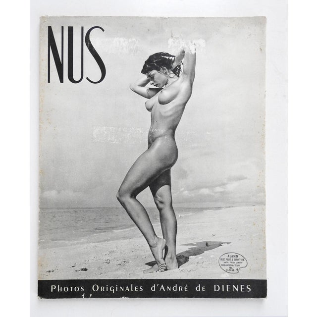 Nus French Book Of Artistic Nude Photographs By Dienes Chairish